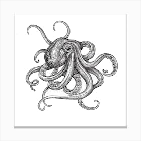 Octopus Square Canvas Print