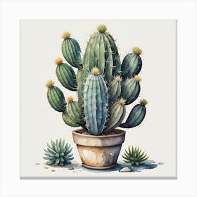 Cactus Oasis 1 Canvas Print