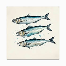 Three Sardines Canvas Print