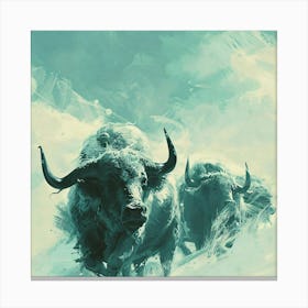 Bulls In The Snow 1 Canvas Print