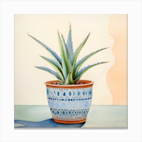 Aloe Plant Canvas Print