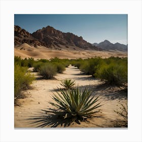 Desert - Desert Stock Videos & Royalty-Free Footage Canvas Print