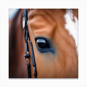 Close Up Of A Horse'S Eye 7 Canvas Print