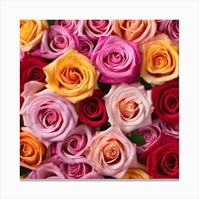 Colorful Roses 42 Canvas Print