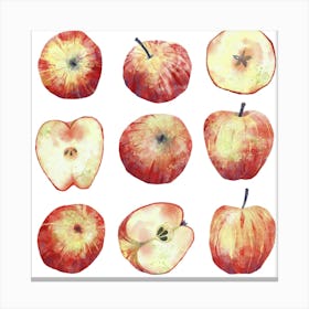 Red Apples Watercolor Painting Canvas Print