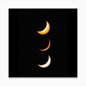 Three Phases Of The Moon Canvas Print