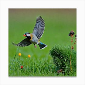 Bird Natural Wild Wildlife Tit Sparrows Sparrow Blue Red Yellow Orange Brown Wing Wings (47) Canvas Print