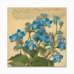 Forget-me-nots 5 Canvas Print