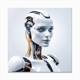 Robot Woman 21 Canvas Print