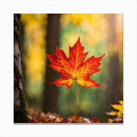 Maple Leaf In The Forest Canvas Print