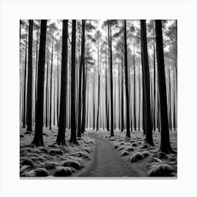 Path In The Forest 10 Canvas Print