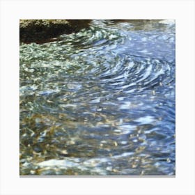 Stream Water Canvas Print