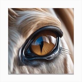 Eye Of A Horse 37 Canvas Print