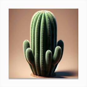 Cactus 6 Canvas Print