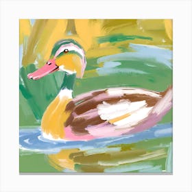 Duck 11 Canvas Print