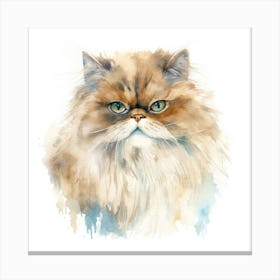 Persian Himalayan Cat Portrait 2 Canvas Print