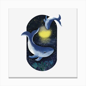 Dolphins under the moonlight Canvas Print