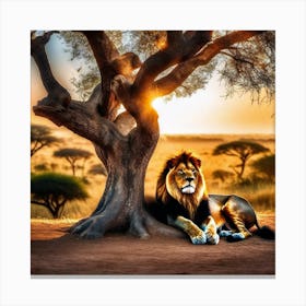 Lion Under The Tree 6 Canvas Print