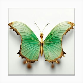 Butterfly - Butterfly Stock Videos & Royalty-Free Footage Canvas Print