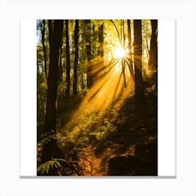 Sunbeams In The Forest 4 Canvas Print