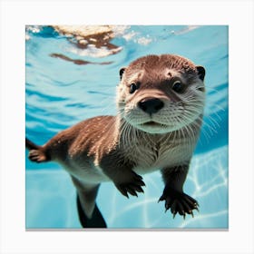 Brown otter swimming underwater Canvas Print