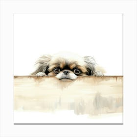 Pekingese Dog Canvas Print