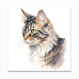 American Wirehair Longhair Cat Portrait Canvas Print