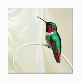 Hummingbird Wall Decoration Canvas Print