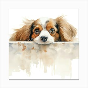 King Charles Spaniel 1 Canvas Print