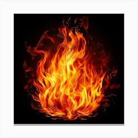 Flames On Black Background 79 Canvas Print