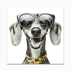 Dachshund Wearing Sunglasses 1 Canvas Print