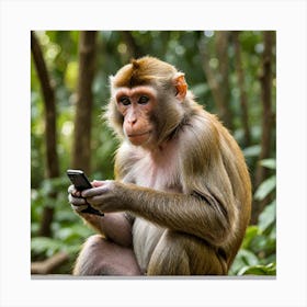 A Monkey With A Smart Phone 2063302775 Canvas Print