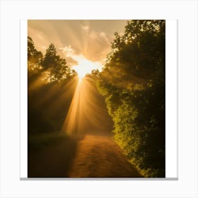 Sunrise Over The Woods Canvas Print