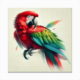 Parrot 13 Canvas Print