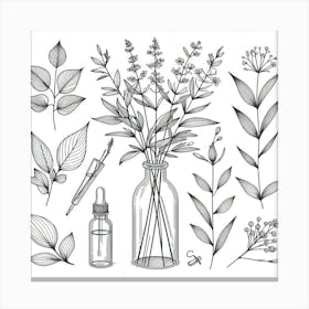 Botanical Illustration 1 Canvas Print