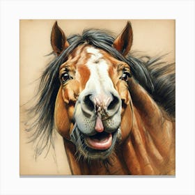 Happy Horse 1 Canvas Print