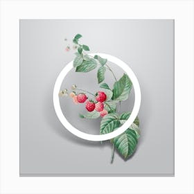 Vintage Red Berries Minimalist Floral Geometric Circle on Soft Gray n.0151 Canvas Print