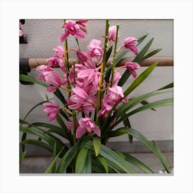 Pink Orchids 13 Canvas Print