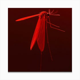 Mosquito - Mosquito Red Canvas Print