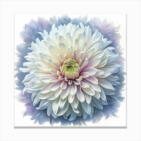 Close Up Of White Chrysanthemum Canvas Print