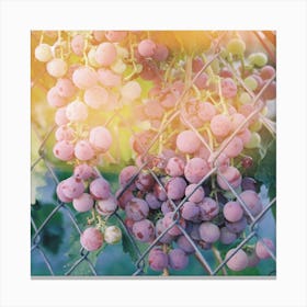 Neighbor's Grapes Canvas Print