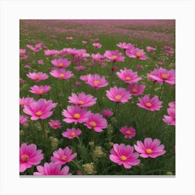 Pink Cosmos Canvas Print