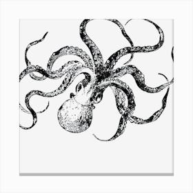 Octopus Canvas Print