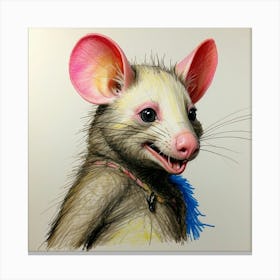 Opossum 1 Canvas Print