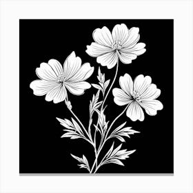 Cosmos Flower, Single Line Drawing Of The Flowers Pattern , Black And White Flowers 2 Canvas Print