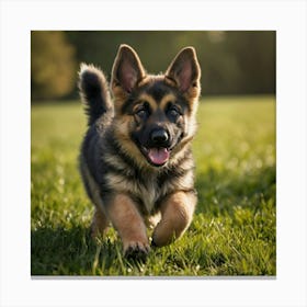 German Shepherd Puppy Running Canvas Print