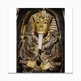 Pharaonic effec Canvas Print