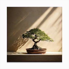 Firefly Bonsai, Tree, Minimalist, Setting, Soft, Shadows, Neutral, Background, Serene, Calm, Nature, (11) Canvas Print