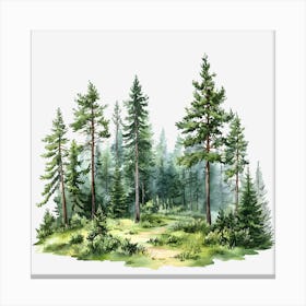 Watercolor Of A Forest Canvas Print