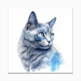 Belarusian Blue Cat Portrait 3 Canvas Print